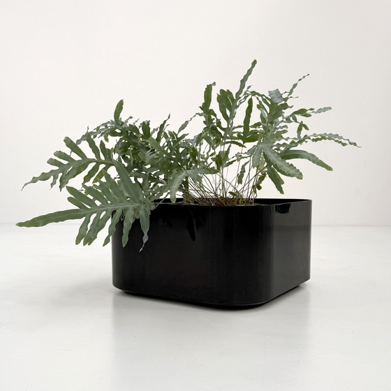 Image 1 of Black Planter on Wheels by Isao Hosoe for Intercom, 1970s