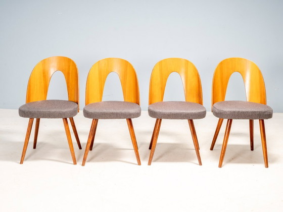 Image 1 of Chaises de salle à manger Antonín Šuman, Tatra Nábytok, Tchécoslovaquie 1960