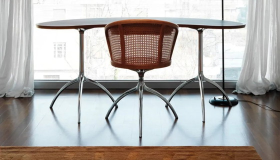 Iconic Tree Top table by Paolo Rizzatto for Alias – Dining tables, Metal (photo 6 of 6)