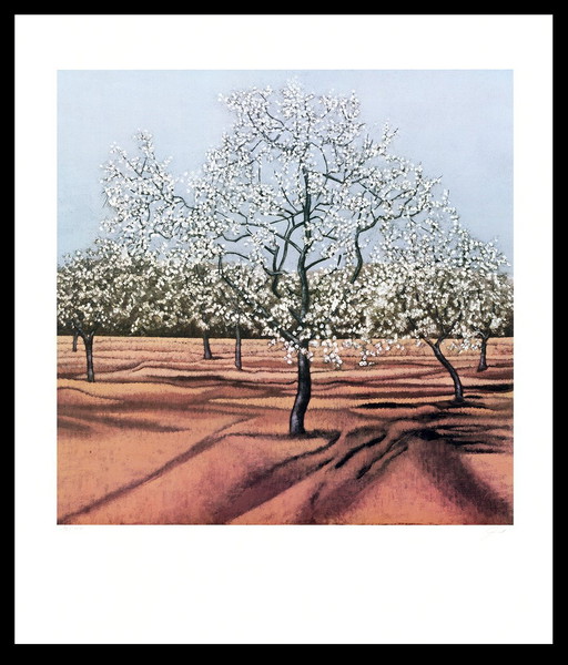 Taubert, Gerhard - Blossoming trees - Color lithograph