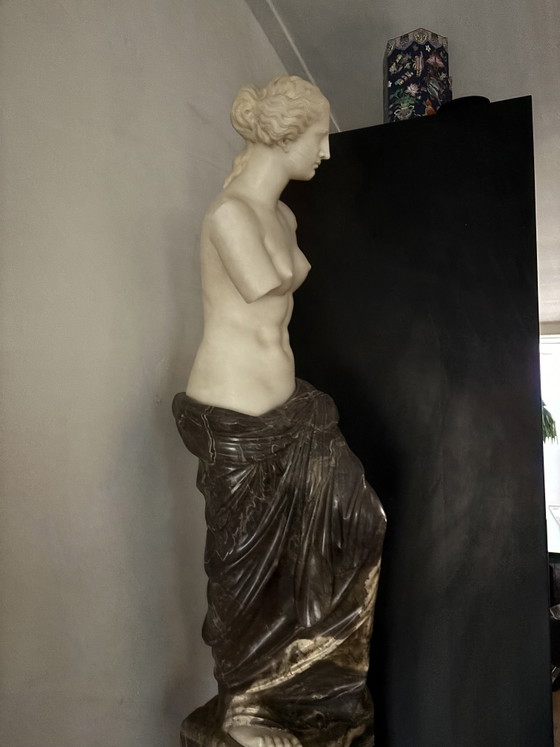 Vénus de Milo – Sculptures, Stone, Marble (photo 4 of 5)