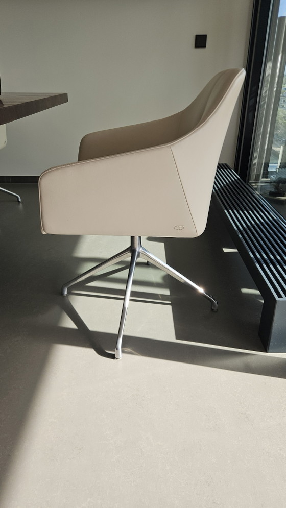 Eetkamerstoelen De Sede DS 279-201 (4x) – Leather (photo 4 of 5)