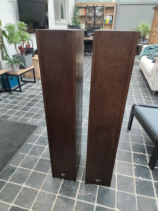 Sprecher des Rattenfängers