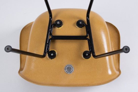 Image 1 of Paire de DAX Eames en fibre de verre – Light Ocre – Herman Miller / Vitra – circa 1965-1975