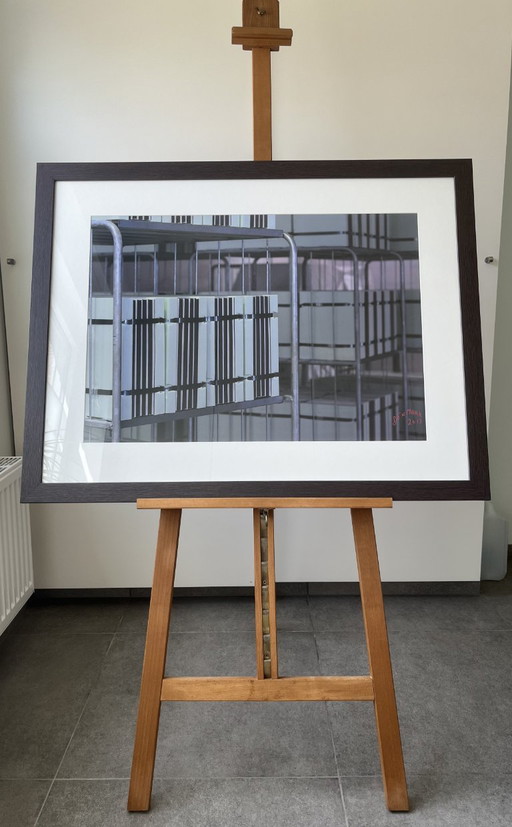 DENMARK (Marc Robbroeckx) - Dynamic Archives - 2013 – lithos zeefdrukken, Wood
