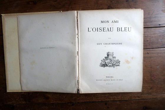 Image 1 of Livre illustré français ancien "Mon Ami L'Oiseau Bleu" de Guy Chantepleure, c.1900 – Art Nouveau – 2C43