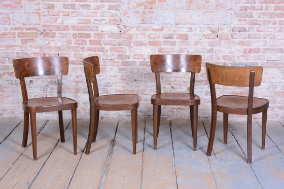 Vier restaurierte Art-Deco-Stühle von Thonet, Buche, Nussbaum, tschechisch, 1940er Jahre – Esszimmerstühle (photo 3 of 15)
