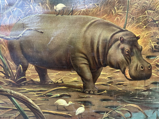 Image 1 of Vintage linen school map - Hippopotamus