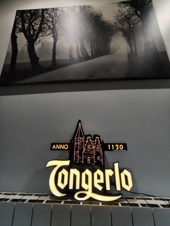 Image 1 of Tongerlo-lichtbord