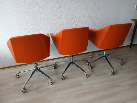 Image 1 of Fauteuils Casala Parker VI – Cuir 