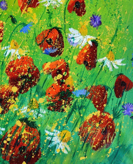 Image 1 of Red Poppies 67