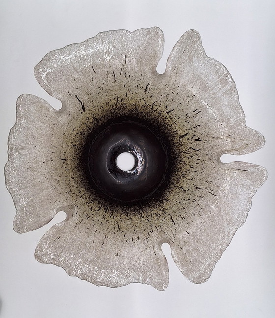 Image 1 of Peill & Putzler, Daylilly