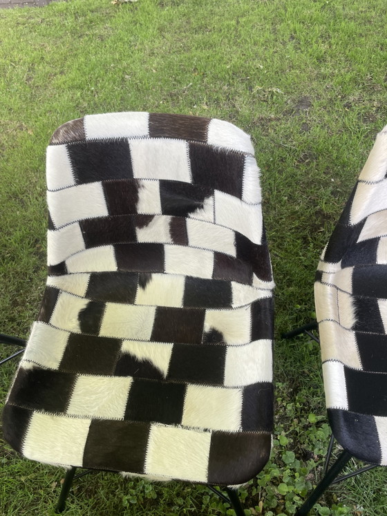 Image 1 of Chaises de salle à manger en cuir de vache