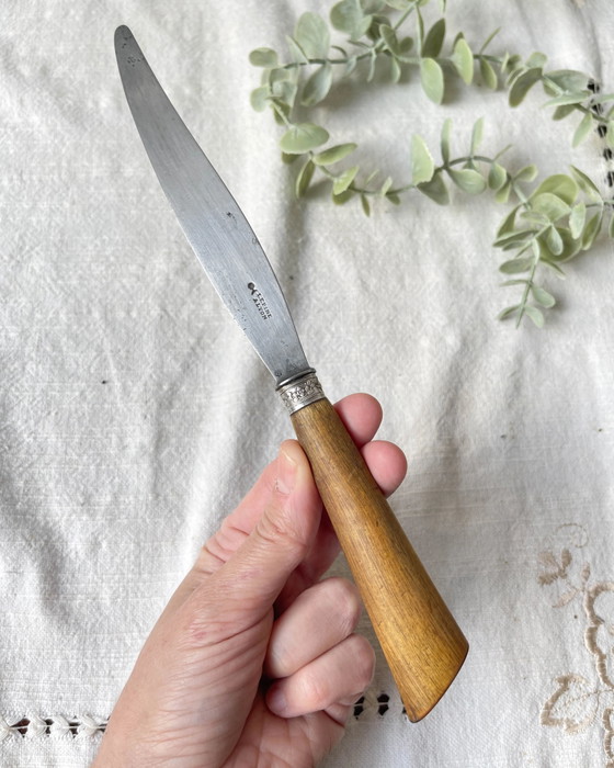 6 Coltelli Vintage Manico Corno e Argento, Lama Acciaio, LEPINE A LYON Francia, XIX Secolo (photo 5 of 10)