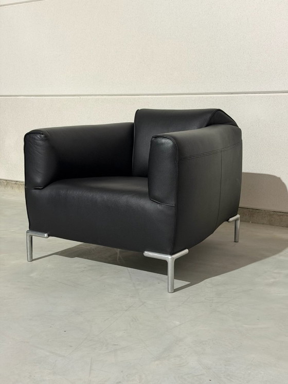 Bert Plantagie Monty Armchairs - as good as new – polished steel, Leather (photo 8 of 10)