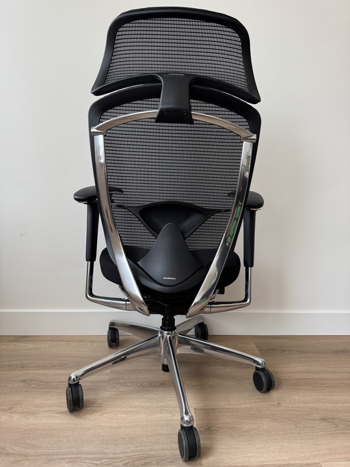 Okamura Contessa Seconda