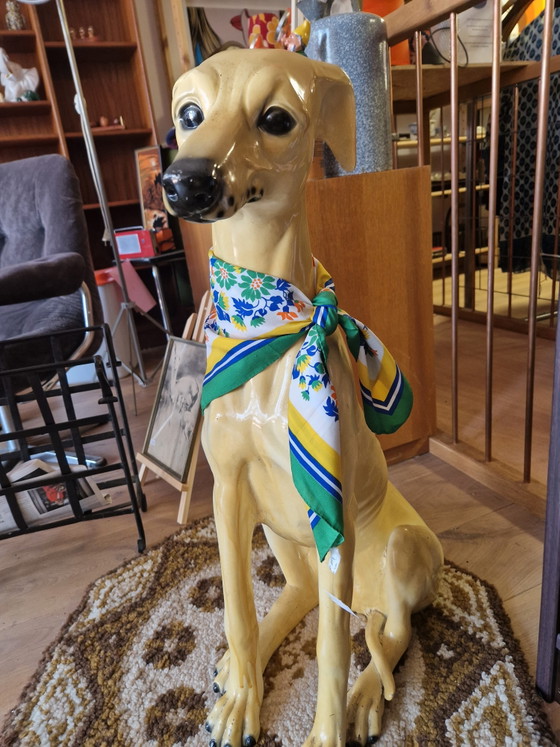 Image 1 of Bassano Greyhound