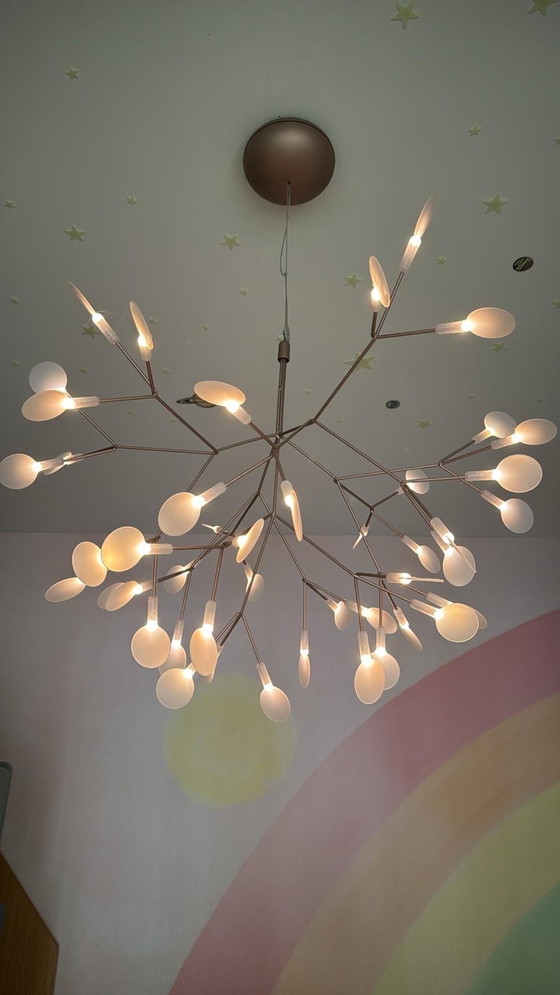 Image 1 of Lampada Heracleum piccola di Moooi
