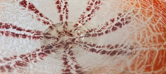 Bol en verre WMF Ikora K. Wiedmann Art Déco Rouge Rare avec étiquette d'origine 24,5 cm (photo 9 of 15)