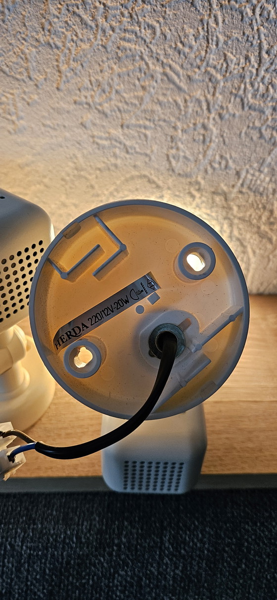 Image 1 of Herda fleckt 3 Stück