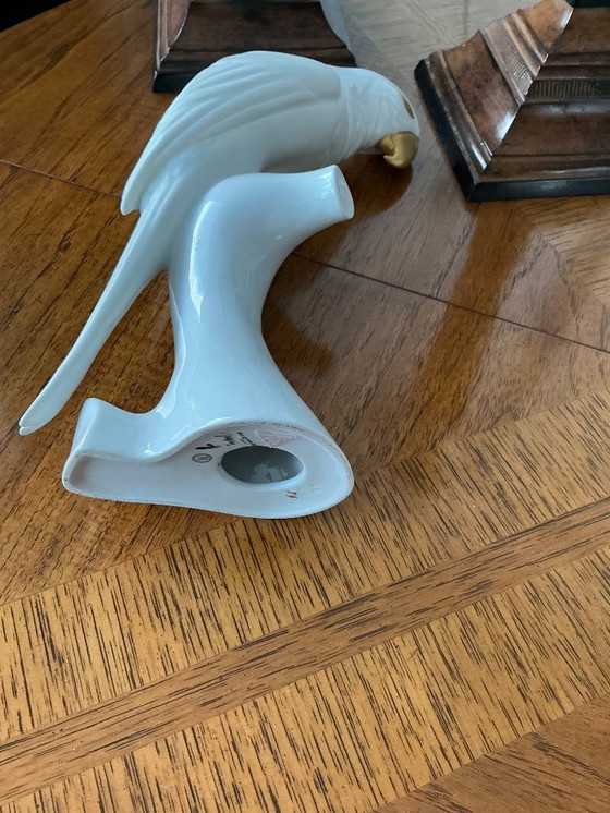 Image 1 of Royal-Dux papagaai 🦜 3 