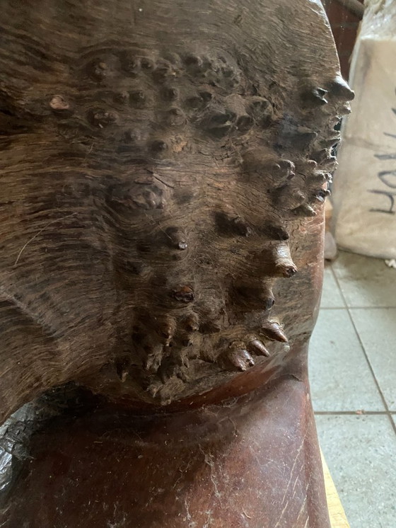 Image 1 of Carrot plant holder