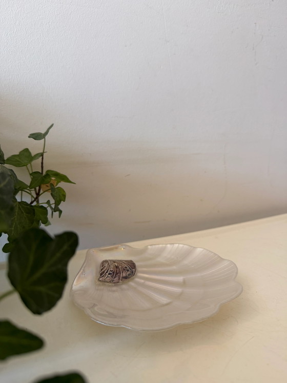 Mother-of-pearl shell dish – Bowls, Plastic (photo 4 of 4)