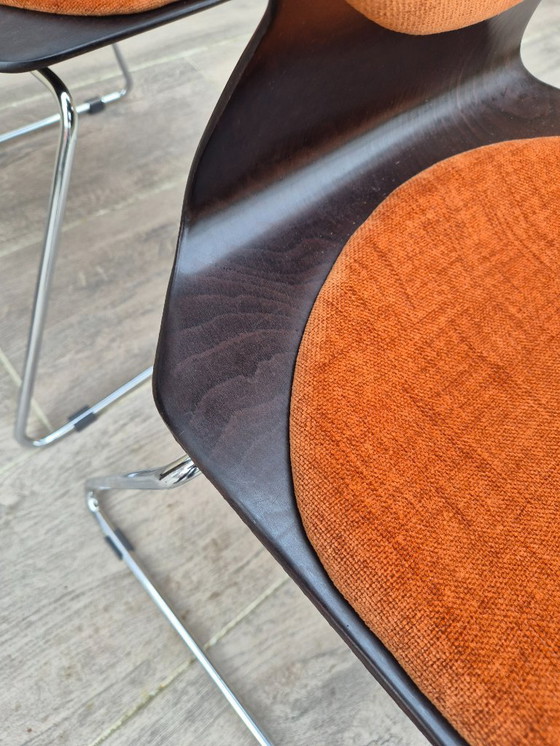 Image 1 of Set di 6 sedie imbottite Elmar Flötotto Pagwood