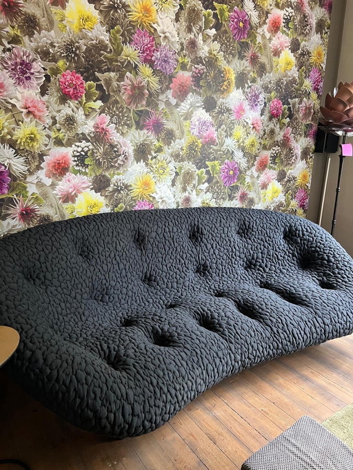 Ploum grand canapé haut dossier + Pouf