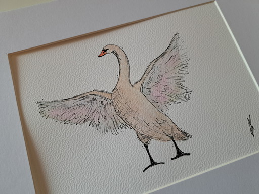Watercolor painting swan | original in frame
