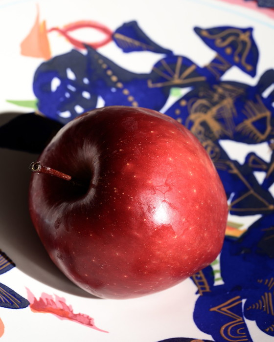 Image 1 of Duo ciotola e piatto da portata in porcellana Rosenthal Gilbert Portanier "Alta Mira"