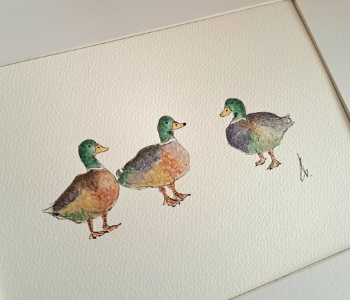 Aquarel schilderij drie eenden | Origineel inclusief lijst