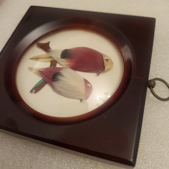 Image 1 of Cornice vintage in bachelite e veri uccelli piumati