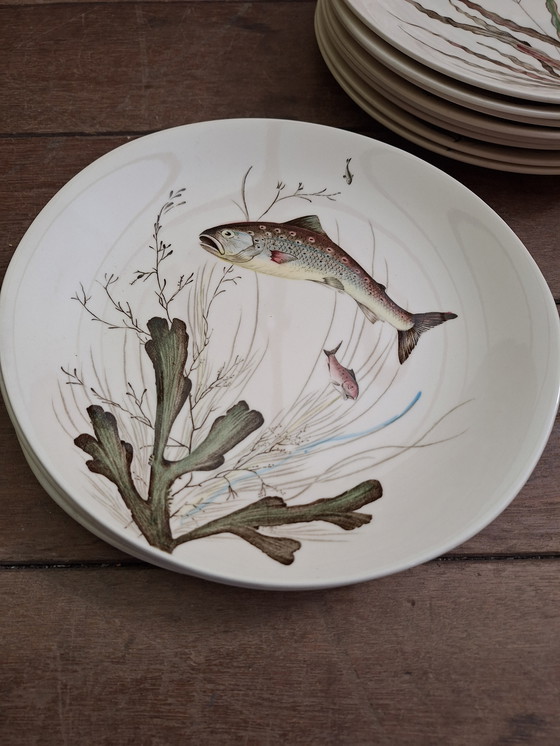 Image 1 of Juego de vajilla Johnson Bros FISH de 15 piezas