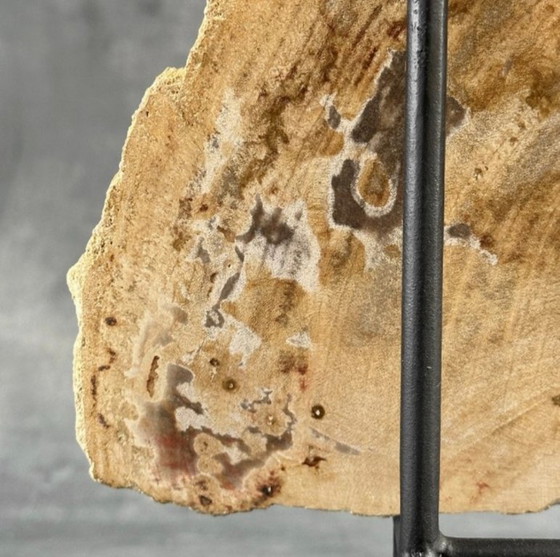 Image 1 of Madera fosilizada de Sooka, soporte hecho a medida (nuevo)