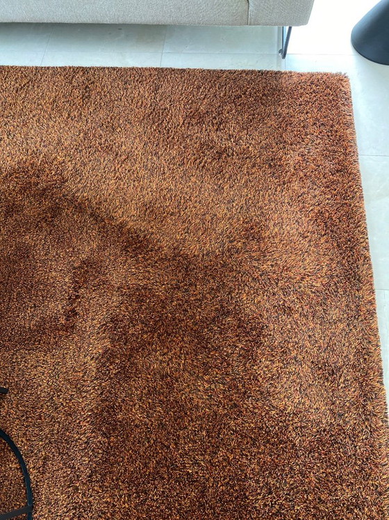 Alfombra – Millenerpoort, Wool, Silk (photo 8 of 10)