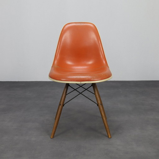 Eames DSW Chair Fehlbaum for Herman Miller, 1970s