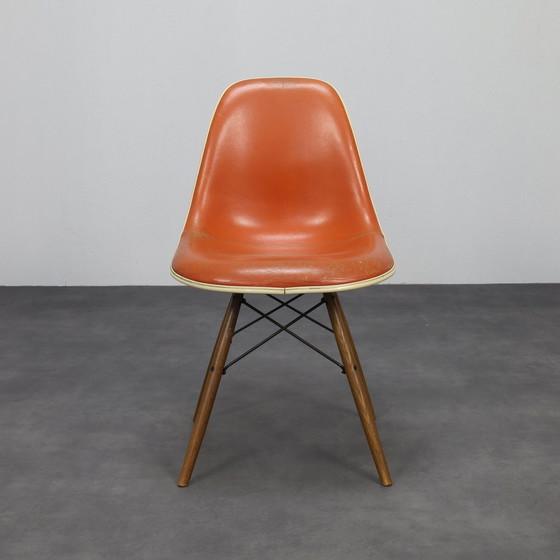 Image 1 of Eames DSW Chair Fehlbaum for Herman Miller, 1970s