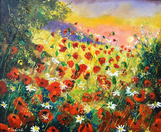 Red poppies in sumer 