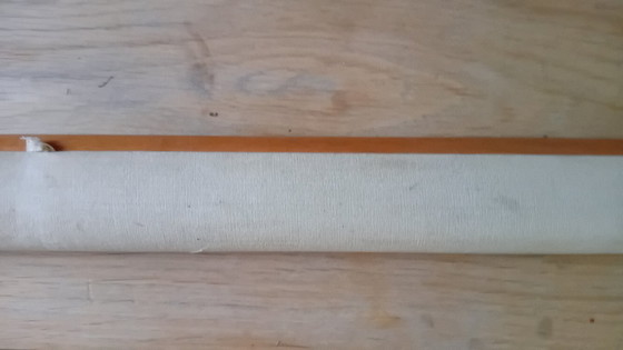 Image 1 of Tabla escolar antigua de J. Verhave, Genética n.° 8, Cobayas