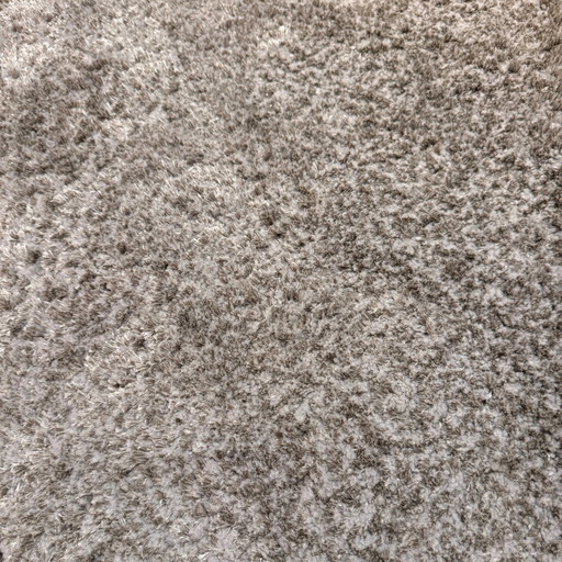 Leolux Amund rug - 240x340