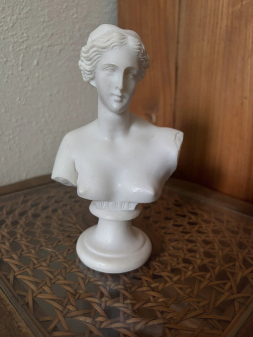 Buste de Vénus – albâtre pur – style académique classique et sombre