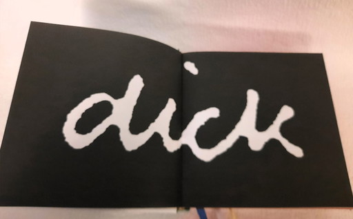 (W050) Ontdek de échte Dick Bruna – rijk geïllustreerd meesterwerk