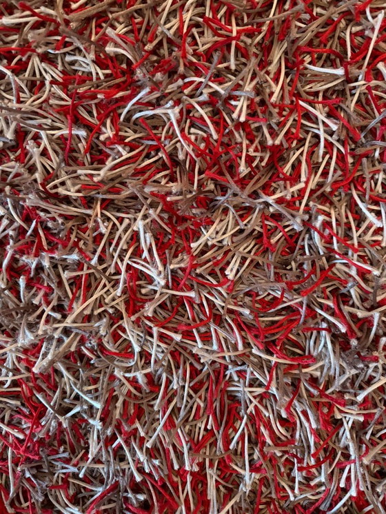 Image 1 of Tapis cocktail Kymo SG Polly Premium – 270 × 340 cm