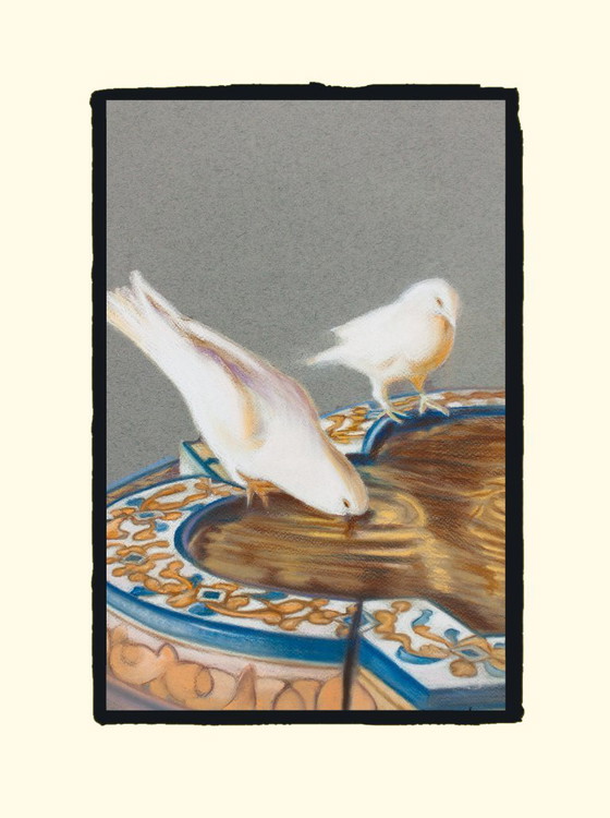 Image 1 of Pigeons drinking from the fountain. Drawing of pigeons. Painting of pigeons. Picture of pigeons. New.