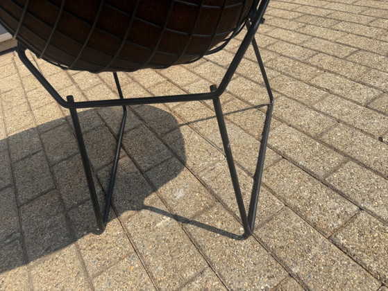 Originele vintage Knoll Bertoia Diamand chair TOPstaat!! – Fauteuils, Metal, Textile (photo 3 of 15)
