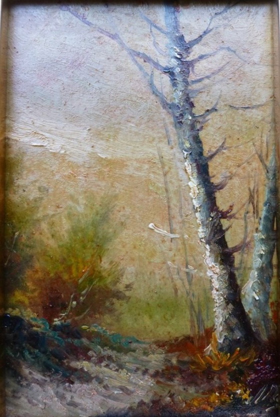 Image 1 of Olio su tavola: M. Ferran, "Paesaggio autunnale" (32 x 27)