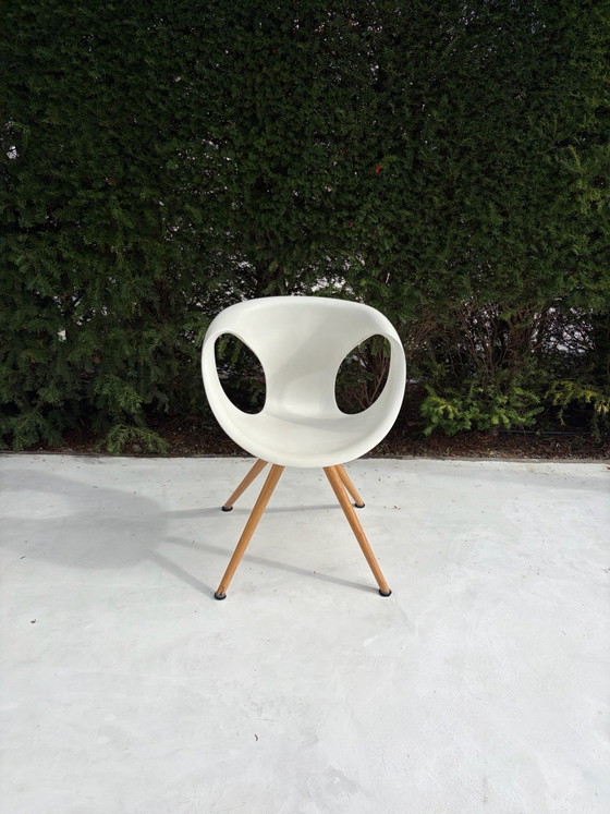 Tonon Design Esszimmerstühle – Metall, Kunststoff (photo 5 of 10)
