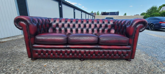 Image 1 of Original Springvale Chesterfield 3 seater sofa in oxblood red