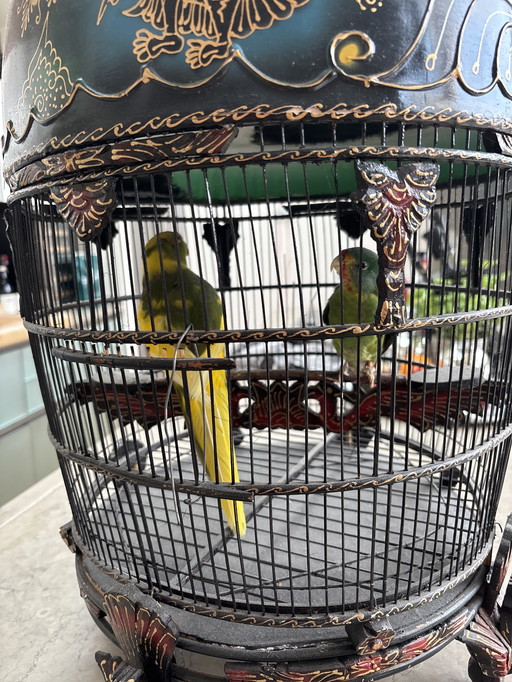 Handgeschilderde Indonesische Vogelkooi met opgezette vogels
